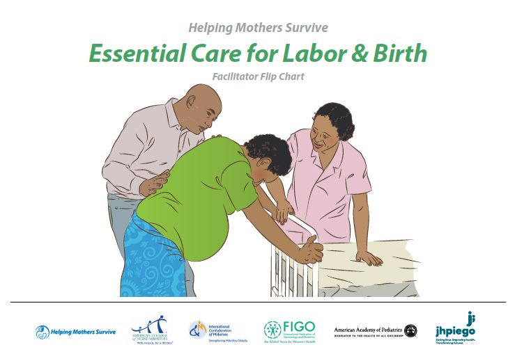 Essential Care for Labor & Birth (HMS ECL&B) – Helping Mothers Survive